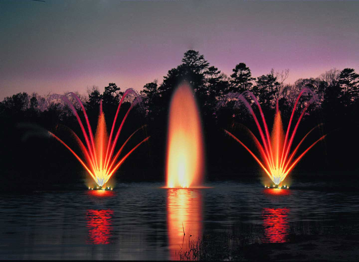 5hp-sequoia-magnolia-night.jpg