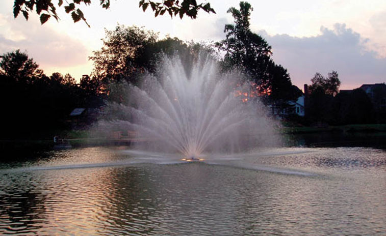 LargeEquinox_1.jpg