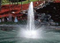 am-crown-geyser-aq50l1.jpg