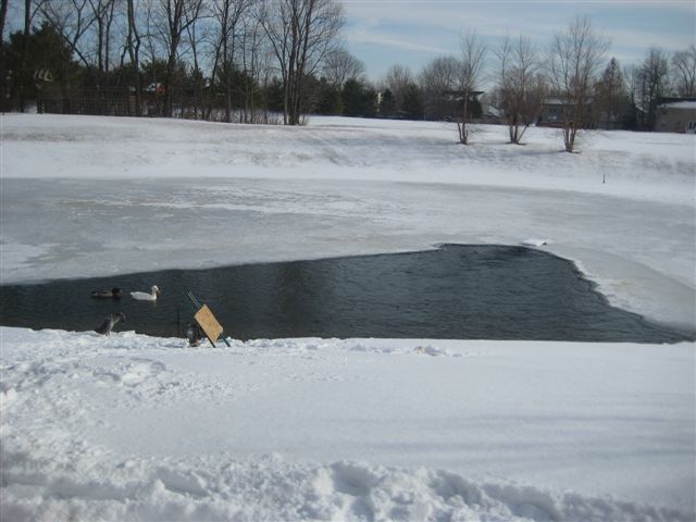 img-5524.jpg