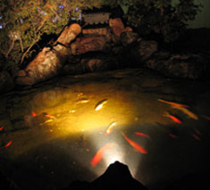 underwater_lights.jpg