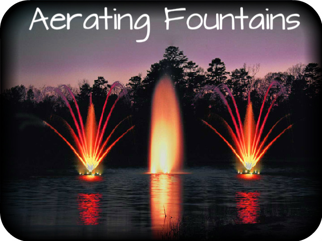 aerating-fountains-cat-pic.jpg